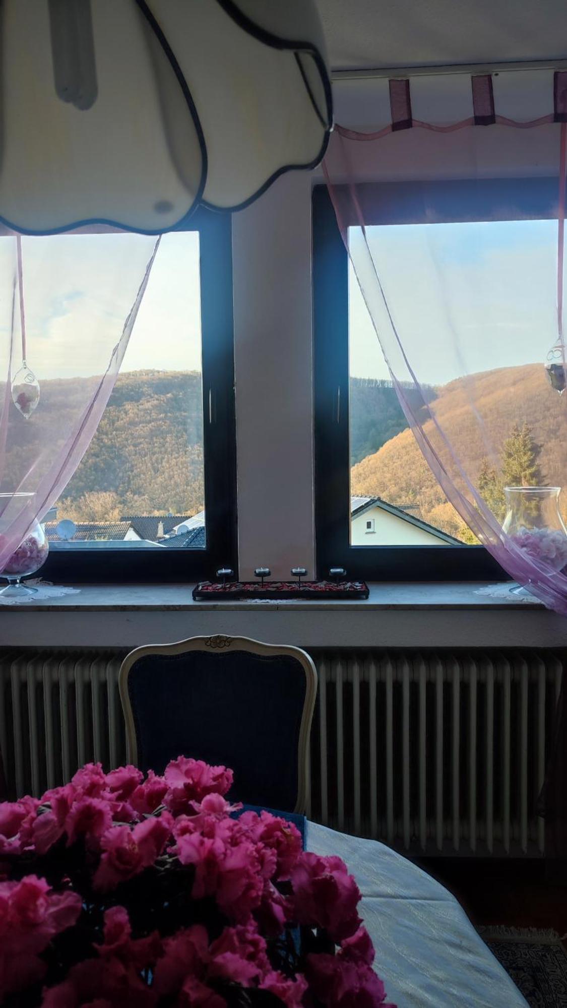Kermeterblick Lägenhet Schleiden Exteriör bild